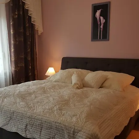 Apartment Palatium *