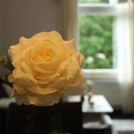 팔라티움 바트 엠스 아파트 *