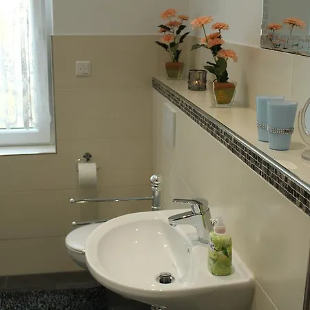 팔라티움 바트 엠스 * 바트엠스