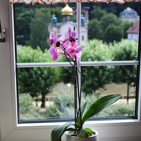 팔라티움 바트 엠스 * 바트엠스