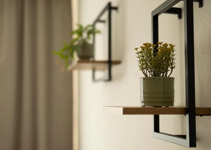 Apartment Palatium *