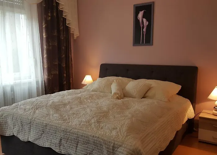 Apartment Palatium *