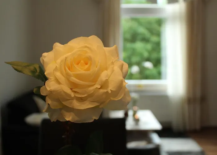 Palatium Apartment *